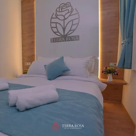 терра роза 2* Karlovo