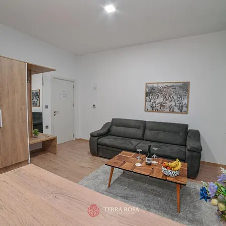 терра роза 2* Karlovo