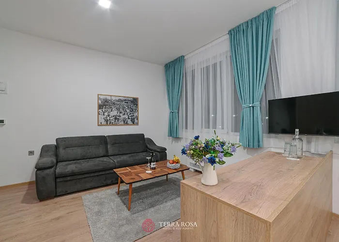 терра роза 2*