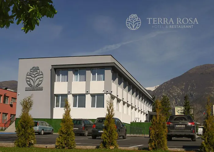 Hotel терра роза