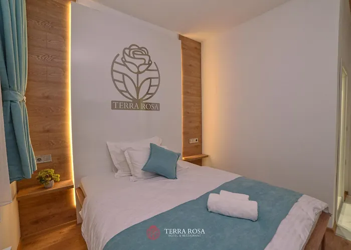 терра роза 2*