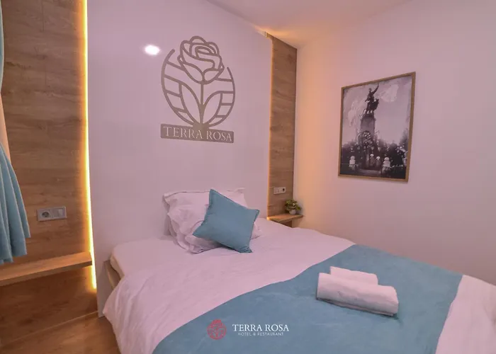 терра роза 2* Karlovo