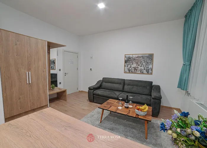 терра роза 2* Karlovo