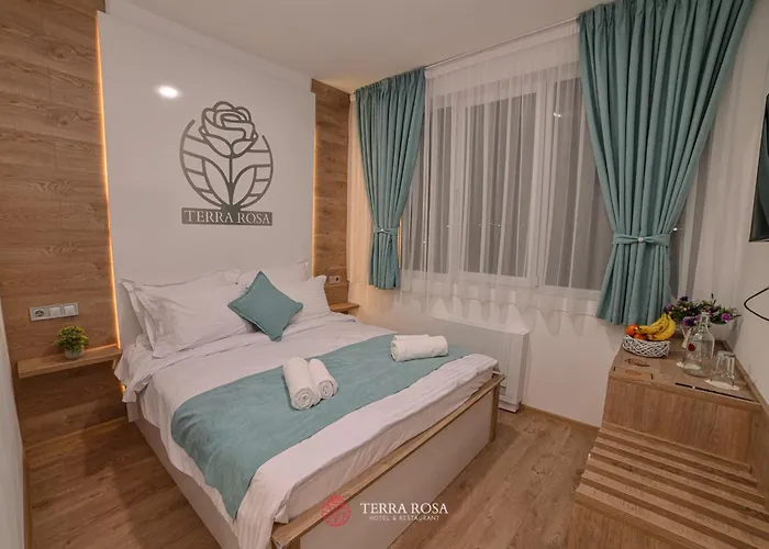 терра роза 2* Karlovo